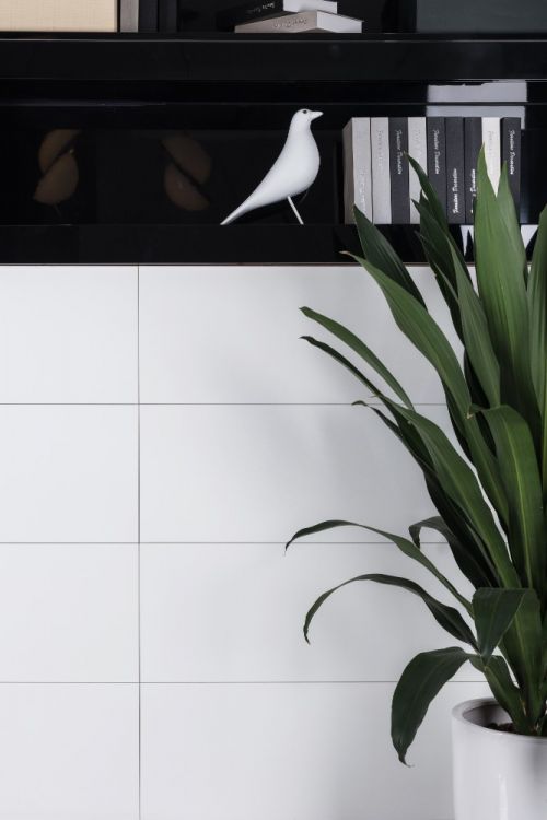 Malaysia EX White Matte 12 x 24
